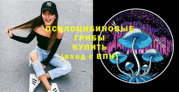 PSILOCYBIN Беломорск