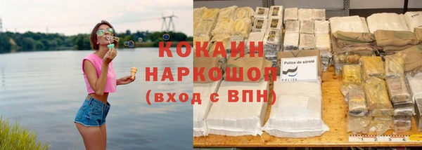 сатива Россошь
