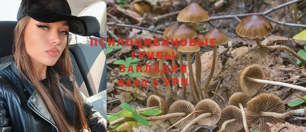 PSILOCYBIN Беломорск