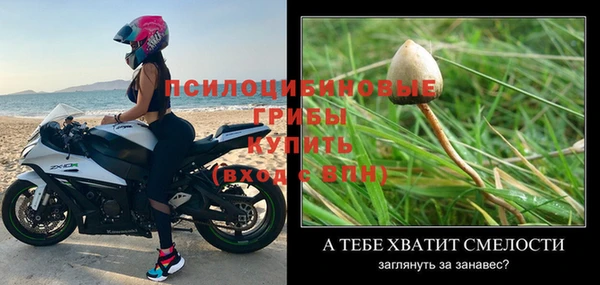 соль ск Белокуриха