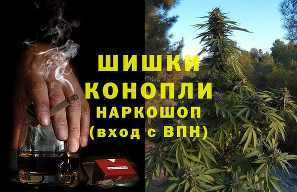 PSILOCYBIN Беломорск
