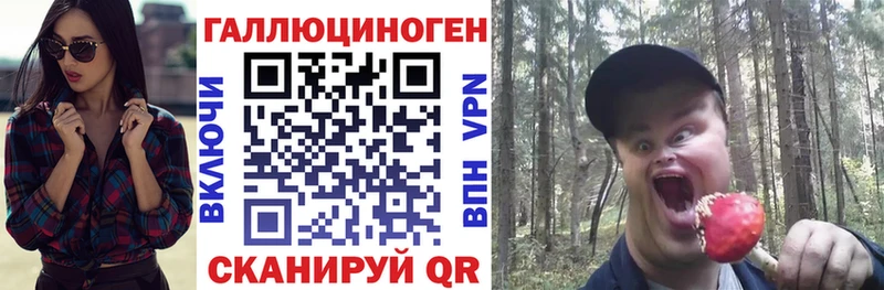 где купить   Кудрово  Псилоцибиновые грибы мицелий 